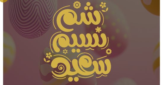 تنسيقية شباب الأحزاب والسياسيين تهنئ المصريين بعيد شم النسيم