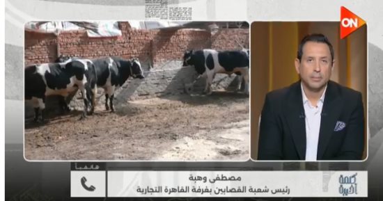 شعبة القصابين لـ كلمة أخيرة: استقرار أسعار اللحوم في عيد الأضحى