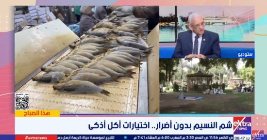 الدكتور حسن حسونة: الالتزام بالمواصفات الصحية أساس أمان الفسيخ