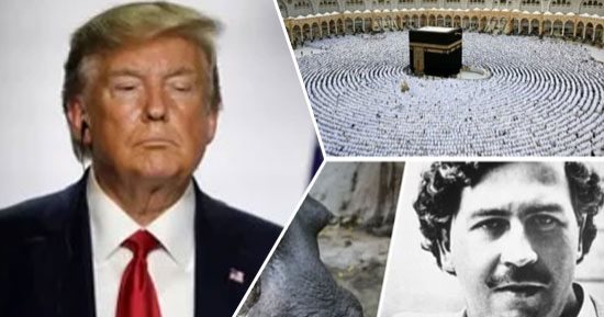 أهم أخبار العرب والعالم حتى الظهيرة..رئيس الشئون الدينية بالحرمين الشريفين: الالتزام بتصريح الحج ضرورة شرعية..ترامب يرفض الاعتذار لبابا الفاتيكان ويدافع عن صورة المسيح..كولومبيا تعدم 80 فرس نهر تابع لأسكوبار