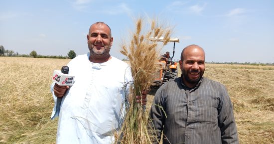بدء توريد القمح المحلى من المزارعين  غدا وحتى 15 أغسطس 2026 .. تجهيز 400 نقطة استلام فى الصوامع والشون الحديثة بالمحافظات.. الحكومة تستهدف 5 ملايين طن لزيادة الاحتياطى الاستراتيجى وتقليل الاستيراد من الخارج