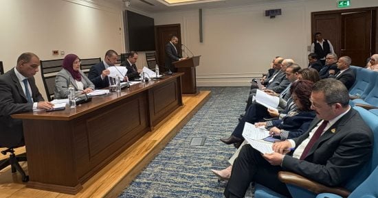 الحكومة تحاول إنقاذ المبادرات الصناعية.. اجتماع الأسبوع المقبل بحضور المصنعين