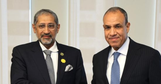 وزير الخارجية يشارك فى جلسة للبنك الدولي حول توطين الصناعات الدوائية