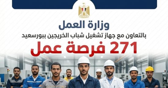 وزارة العمل تعلن عن 271 فرصة عمل ببورسعيد برواتب تصل إلى 20 ألف جنيه