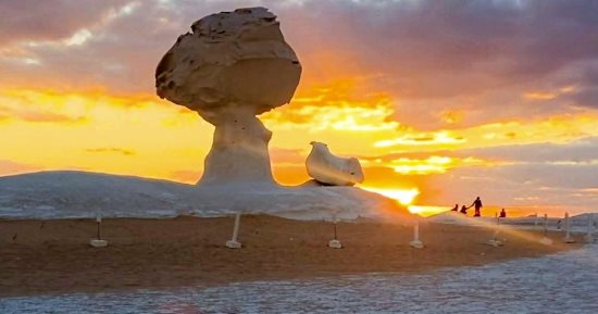 الوادى الجديد وجهة مثالية لعشاق السفارى والمغامرة.. الرمال البيضاء والتنوع البيولوجى والطبيعة الساحرة تجذب السياح.. وركوب الخيل وممارسة الرياضة والتزلج وزيارة منطقة الآبار والواحات على رأس برامج الرحلات.. صور