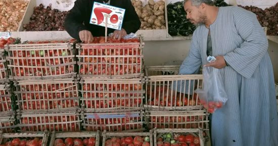 كيلو الطماطم بـ25 جنيها.. اعرف أسعار الخضروات والفاكهة بالوادي الجديد 