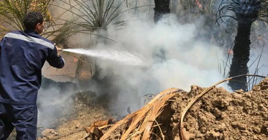 محافظ الوادى الجديد: تكثيف جهود الحماية المدنية للسيطرة على حريق «العوينة».. صور