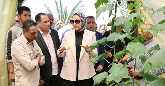 طفرة فى الاستزراع السمكى.. مزارع فى قلب الصحراء بالوادى الجديد (صور)