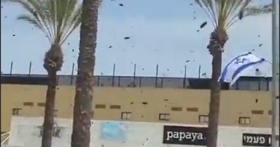 هجوم أسراب من النحل تثير حالة من الذعر فى جنوب إسرائيل.. "فيديو"