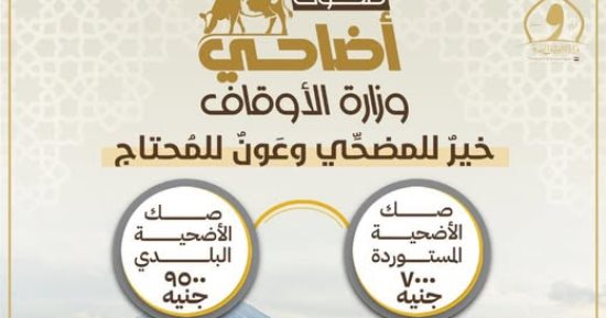 لأول مرة صك الأضحية من وزارة الأوقاف بالتقسيط على 6 شهور.. تفاصيل