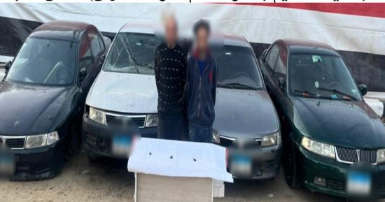 ليلة سقوط اللصوص.. ضبط عصابات "نشل الموبايلات" وسرقة السيارات 