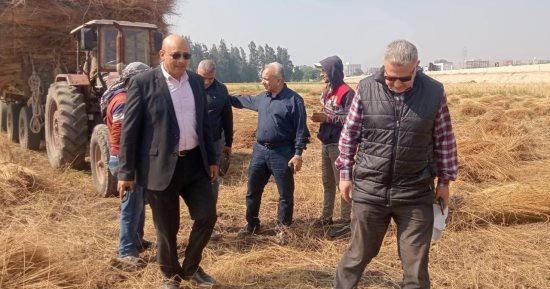 رئيس قطاع الخدمات يتابع حصاد القمح بالغربية.. صور