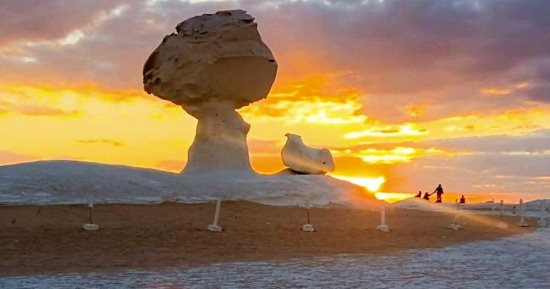 الوادي الجديد.. جنة السفاري والمغامرات في قلب الصحراء