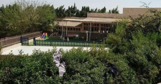 «الجنايات» تنظر غدا قضية رجل الأعمال ومدير دار أيتام بتهمة الاتجار في البشر