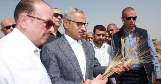 محافظ بنى سويف يفتتح موسم حصاد القمح ويوجه رسائل للمزارعين.. ويؤكد جاهزية الصوامع
