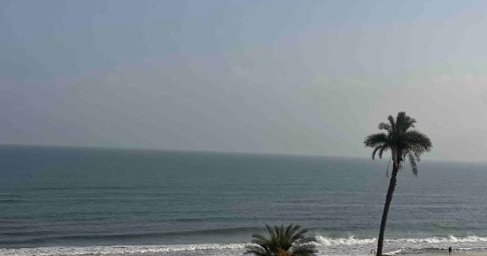 "روشتة" متكاملة لحماية الثروة الحيوانية من موجات الحر
