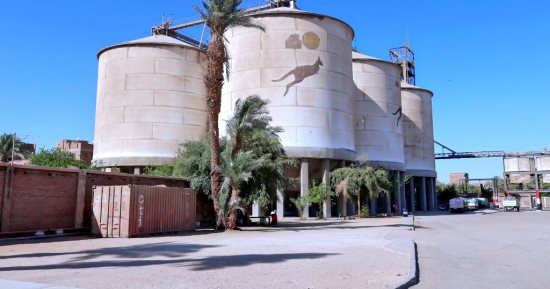 يا حلوة ضمى الغلة سبلة وسبلة ويلا.. انطلاق موسم حصاد القمح بمحافظة سوهاج و199 ألف فدان المساحة المزروعة و15 موقعا للتخزين.. والصوامع تحذر من توريد أقماح مخلوطة بالرمال أو بها سوس.. والإردب بـ2500 جنيه