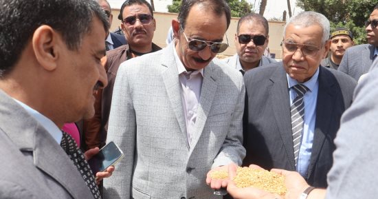 محافظ سوهاج يتفقد حصاد محصول القمح.. ويؤكد: استلام 8431 طنا