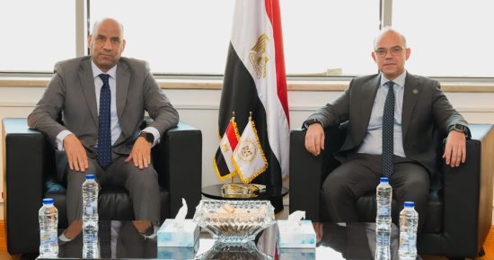 وزارتا الاستثمار والعمل: حصر وتصنيف الشركات الكبرى لوضع إطار منظم للتعامل معها