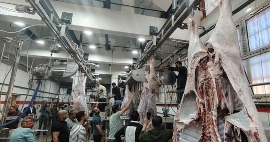 بعد التشغيل التجريبي.. 8 معلومات حول مجزر ديرب نجم المطور بالشرقية