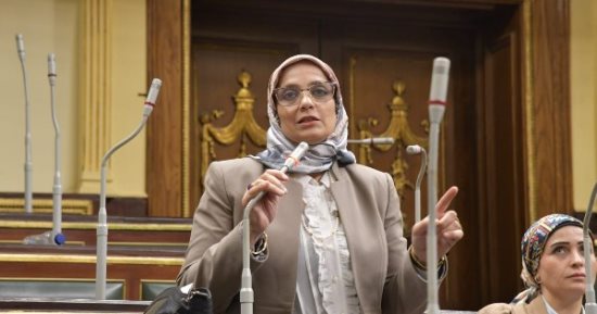 نجلاء العسيلي: قمة السيسي وأفورقي تؤكد ريادة مصر في حماية أمن البحر الأحمر