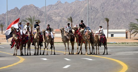محافظ جنوب سيناء: سباقات الهجن من أبرز مظاهر التراث البدوي الأصيل.. صور