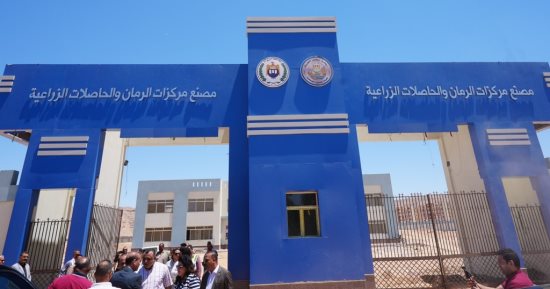 محافظ أسيوط يتفقد مصنع مركزات الرمان بالبدارى بتكلفة 600 مليون جنيه
