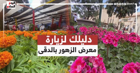دليلك لزيارة معرض الزهور بالدقى و8 متاحف بـ20 جنيها مع برنامج كده رضا