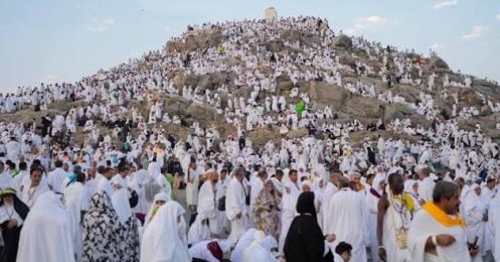 أمين الفتوى من جبل عرفات: اليوم فرصة عظيمة لمغفرة الذنوب وعتق الرقاب