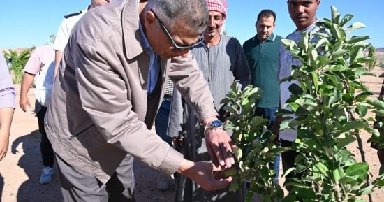 محافظ جنوب سيناء يتفقد تجمعات وادي سعال المتأثرة بالسيول 