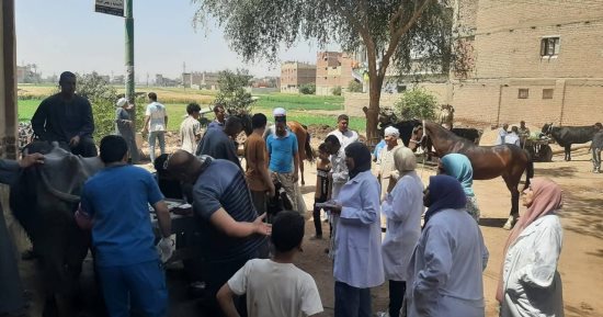 فحص وعلاج 3150 حيوانا فى 3 مراكز بسوهاج ضمن قوافل بيطرية مجانية