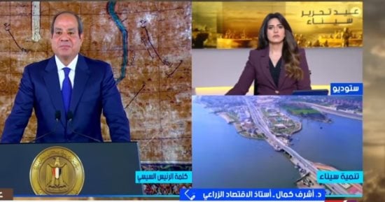 أستاذ اقتصاد: مشروعات زراعية كبرى بسيناء لتحقيق الأمن الغذائي