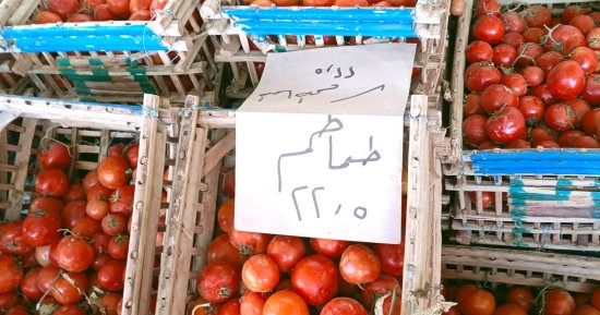 الطماطم بـ 22,5 جنيه.. أسعار الخضراوات والفاكهة بالوادى الجديد اليوم السبت