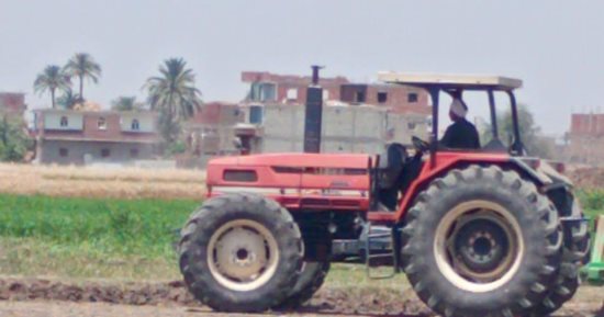 إجراءات قانونية عاجلة لمواجهة تبوير 24 قيراطا من الأراضي الزراعية بمنشأة عبد الله بالفيوم