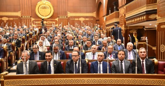 نشأت حتة يطالب الحكومة بتطوير مراكز الشباب لإعداد العقول قبل العضلات