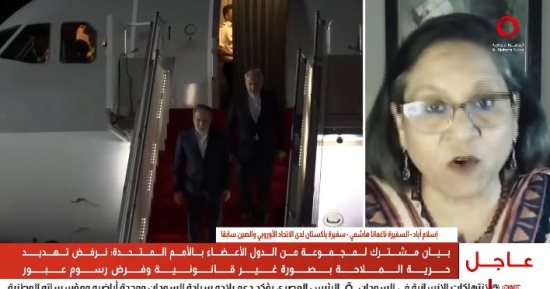 السفيرة ناغمانا هاشمي: مصر والسعودية وتركيا وقطر تتابع جهود الوساطة