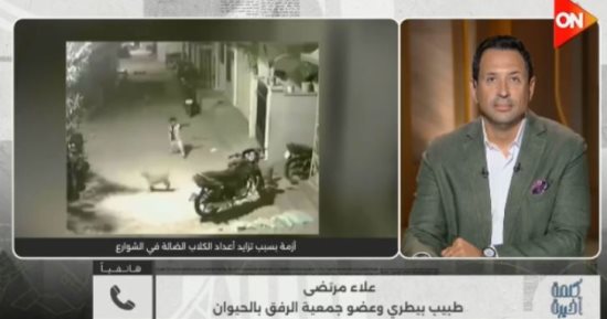 الرفق بالحيوان: تعقيم 2000 كلب منذ بداية العام والشلاتر حل جزئى