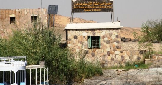 جزر سالوجا وغزال كنز بيئى على ضفاف النيل.. المحمية تحافظ على التنوع النادر وتروى حكاية التوازن البيئى.. طبيعة ساحرة وطيور مهددة بالانقراض.. محط اهتمام الباحثين وعشاق الطبيعة والسياح من مختلف أنحاء العالم.. صور