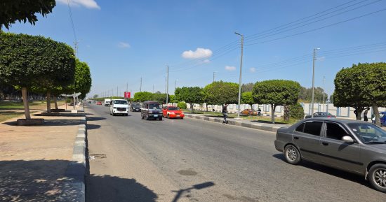 الأرصاد: استمرار الأجواء الربيعية المعتدلة لمدة أسبوع على الأقل
