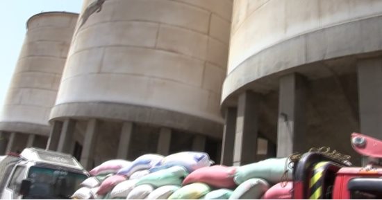 محافظ سوهاج: توريد 46 ألف و590 طنا من القمح إلى الشون والصوامع