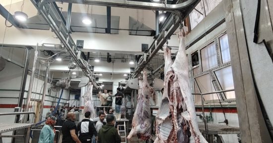 طفرة الـ464 مجزرا.. التنمية المحلية والبيئة استثمرت مليارات الجنيهات لتأمين مائدة المصريين وإنهاء فوضى الذبح العشوائى بالتكنولوجيا الخضراء.. مجازر مجانية وغرامات تصل إلى 10 آلاف جنيه عقوبة الذبح بالشارع.. صور