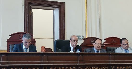 إحالة أوراق تاجر خضار للمفتى قتل سائقا لسرقة تروسيكل بالإسكندرية