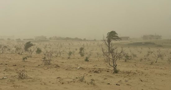 رياح محمّلة بالأتربة تُخفض الرؤية وتعطل حركة الملاحة والصيد في شمال سيناء