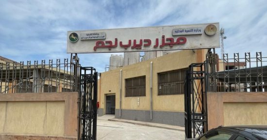 منال عوض تعلن التشغيل التجريبي لمجزر ديرب نجم بالشرقية بتكلفة ٢٢.٤ مليون جنيه