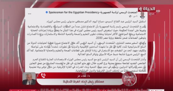 علاء عز: احتياطى السلع الاستراتيجية فى مصر آمن ويتجاوز 6 أشهر