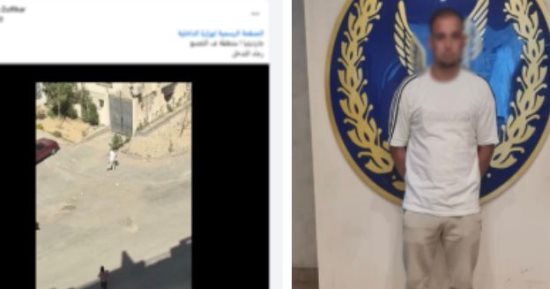 ضربة شمس وعصا خشبية.. كواليس مقتل كلب التجمع وصدمة المارة