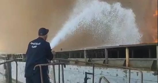 السيطرة على حريق هيش داخل جزيرة الدهب بنهر النيل.. صور