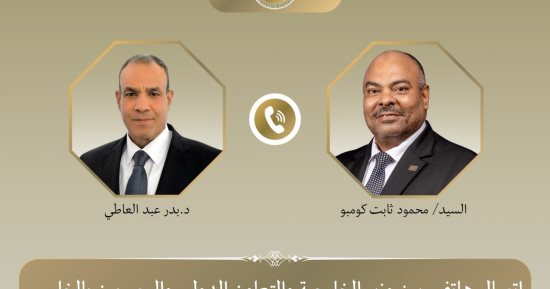 وزير الخارجية ونظيره التنزاني يبحثان تعزيز العلاقات الثنائية والقضايا الإقليمية