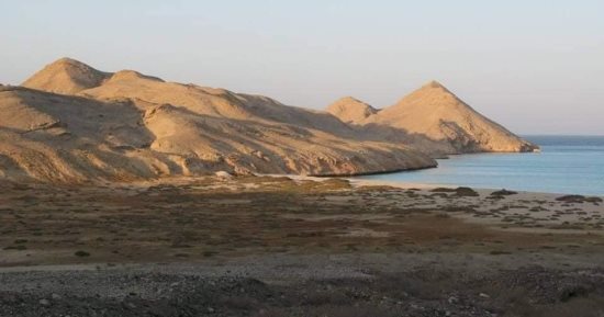 بداية موسم التعشيش.. الزبرجد والجفتون أهم جزيرتين للسلاحف بالبحر الأحمر.. الخضراء منها تقصد الأولى.. وصقرية المنقار تضع بيضها بالثانية.. تبدأ عملية وضع البيض من مايو حتى سبتمبر.. والمحميات ترصد المئات.. صور