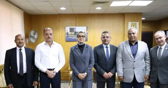 محافظ الوادى الجديد تبحث التوسع فى مشروعات الطاقة النظيفة